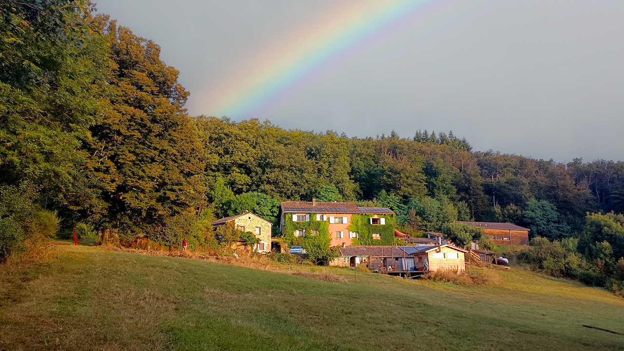 Rainbow at Grain&Sens